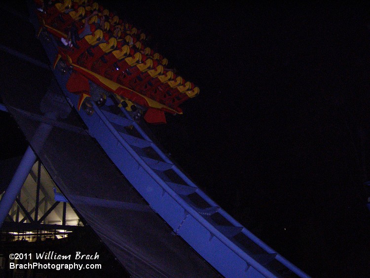 Griffon running at night.