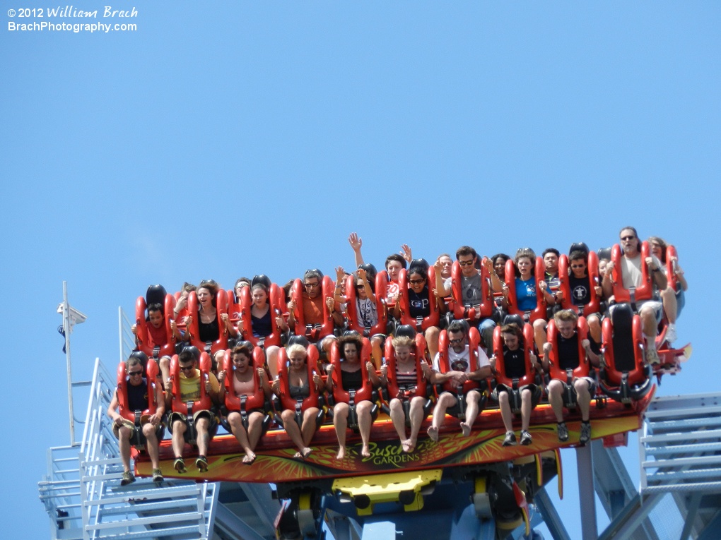 Griffon train drops from the hold at the top of the first hill.