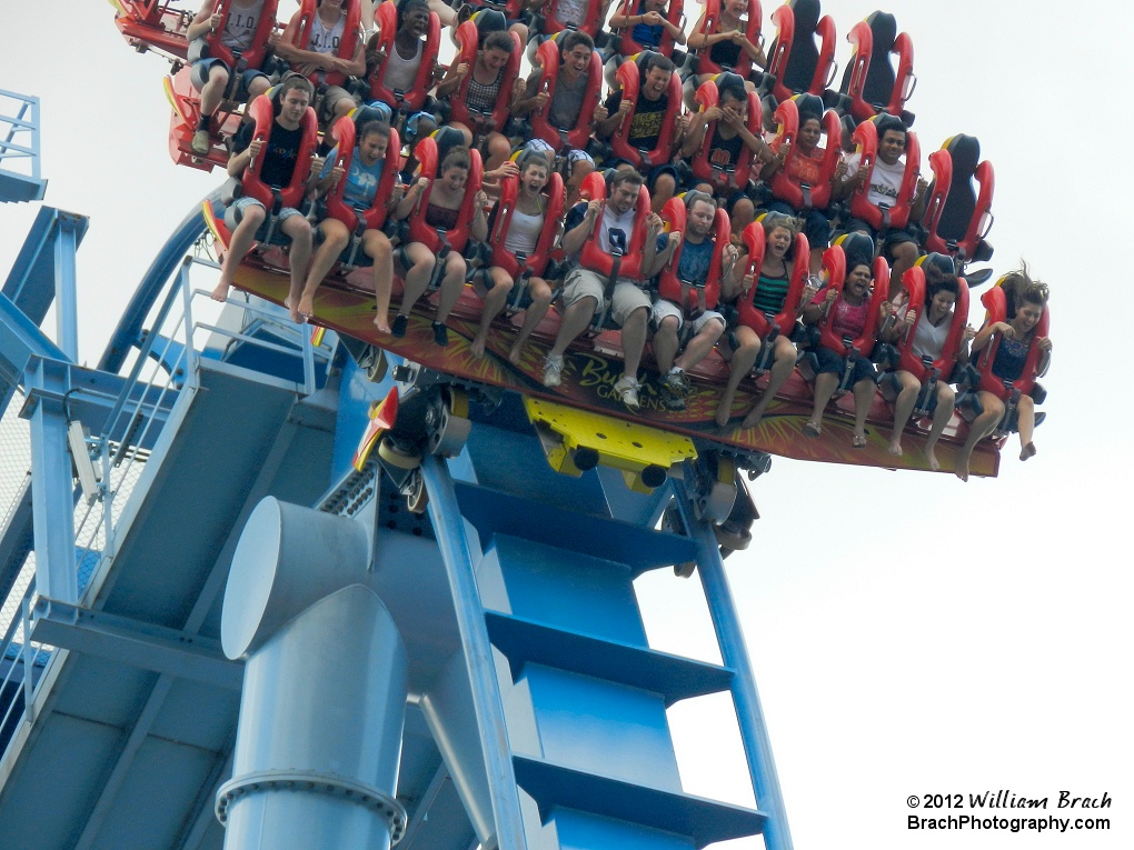 Looking up at Griffon's first drop as a train gets released from the holding brakes.