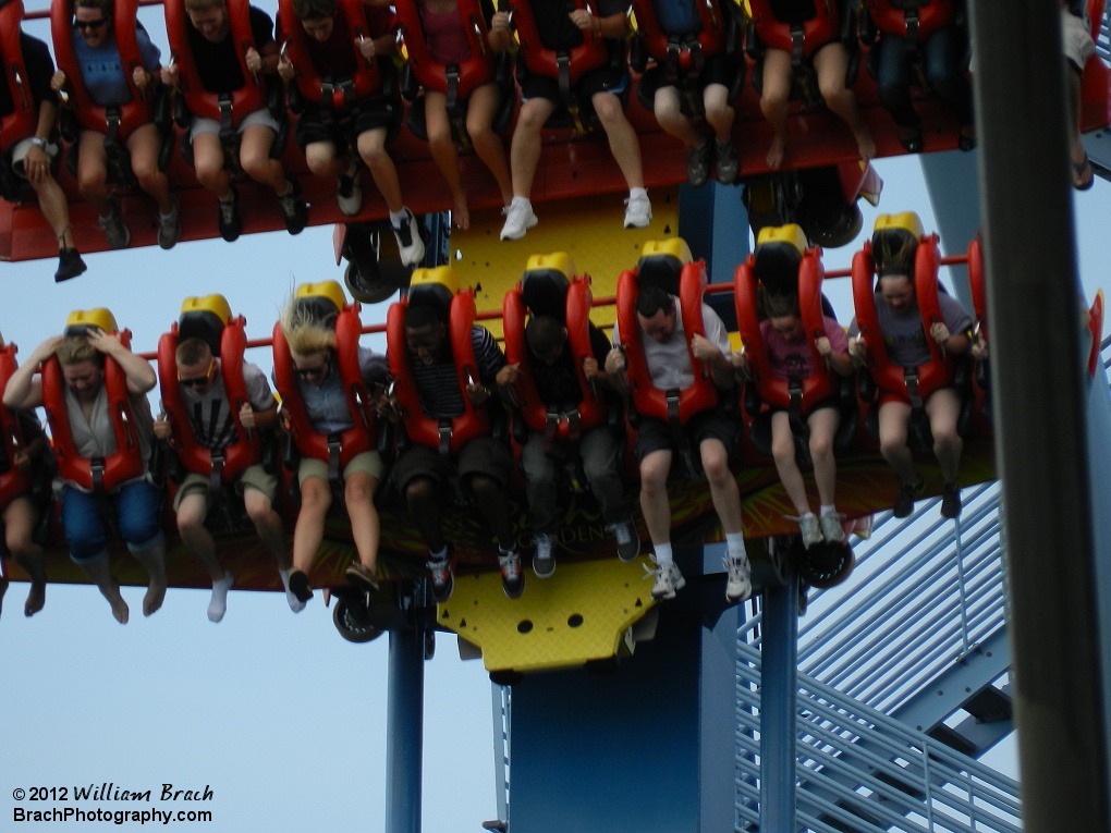 Griffon train going down one of the drops.