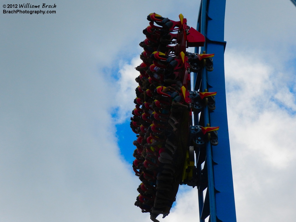 Griffon train going down the vertical drop.