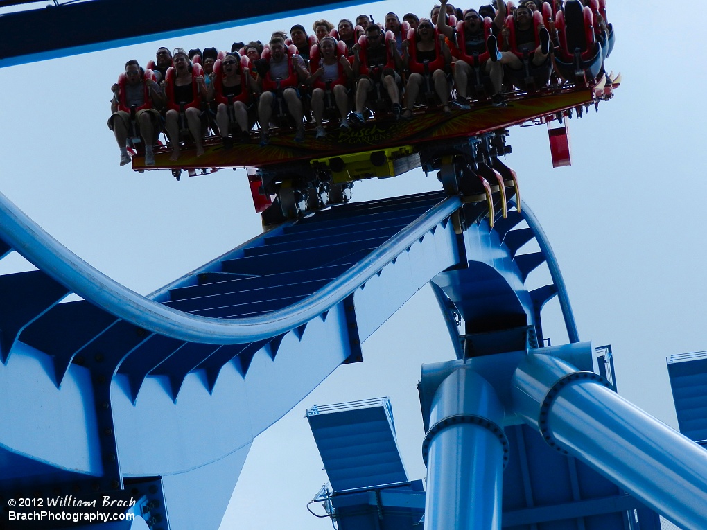 Griffon train traveling back to earth on the vertical drop.