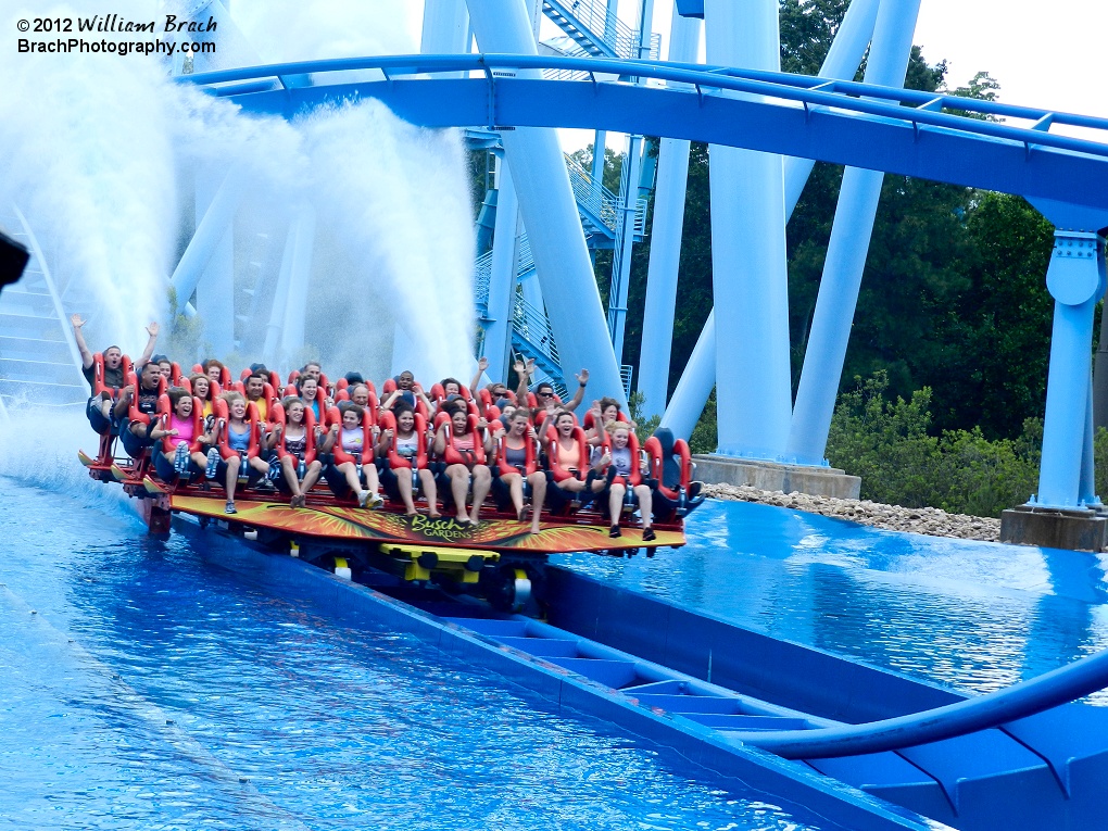 Griffon train in the splash pool.