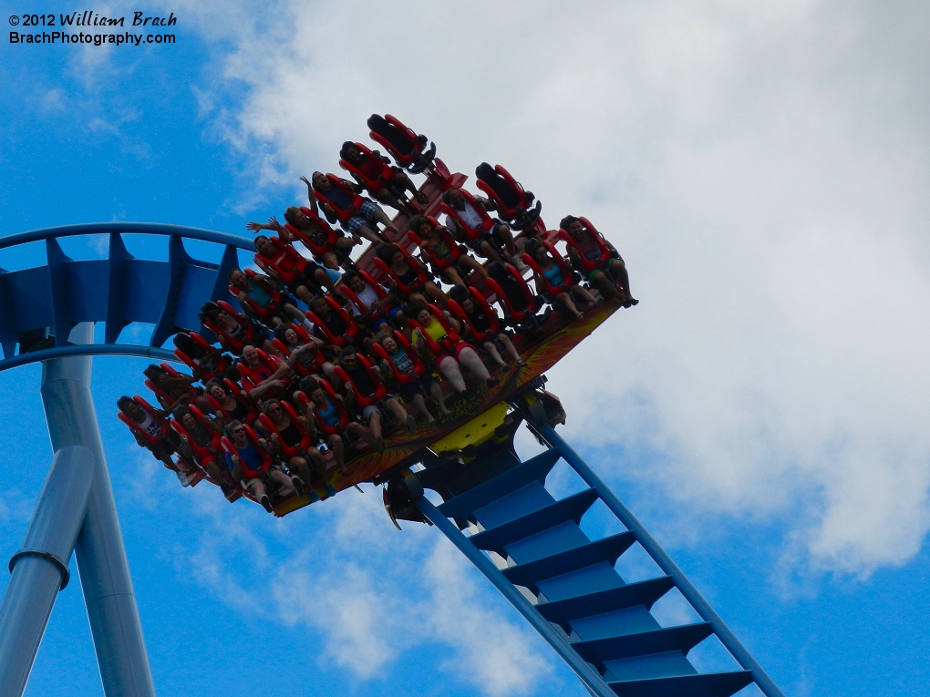 Griffon train exiting a curve.