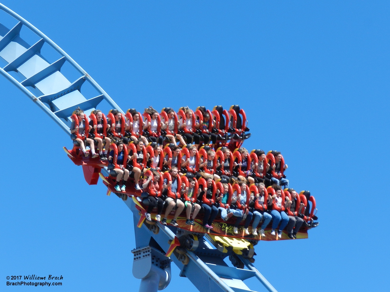 Griffon riders enjoying their ride on the coaster.