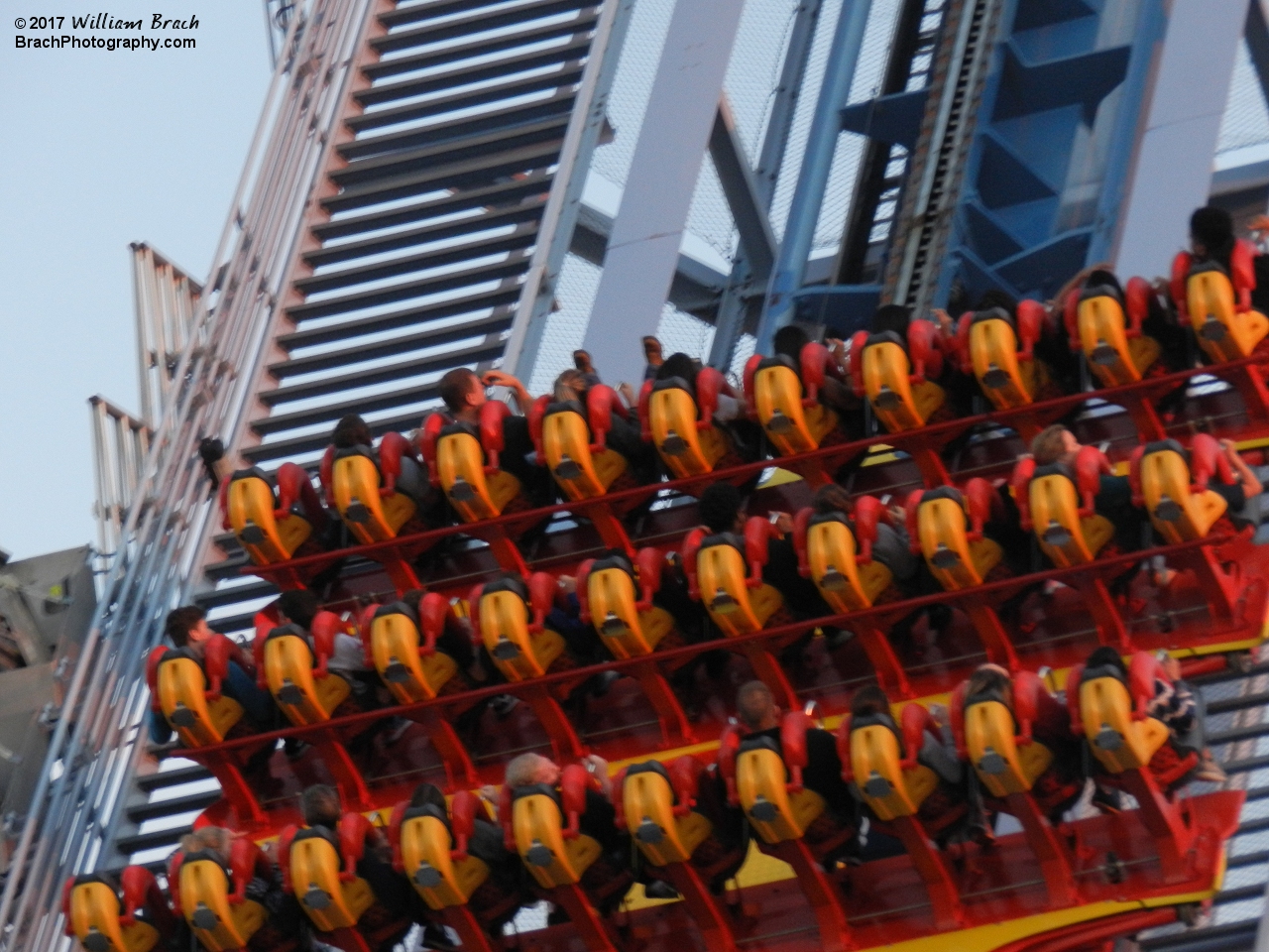 Griffon train going up the lift hill.