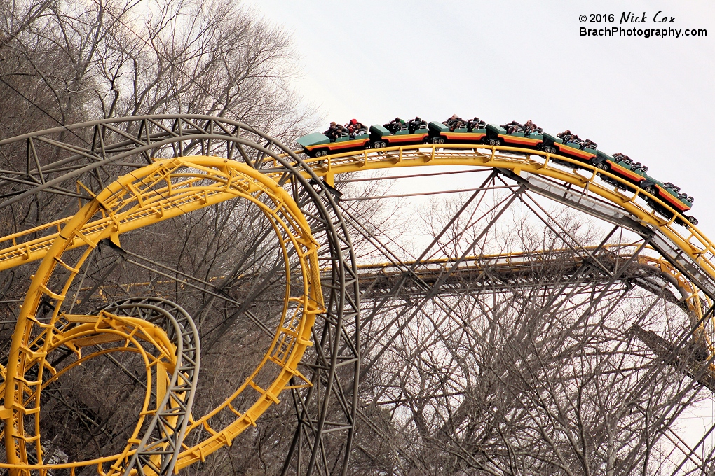 The first drop of the coaster.