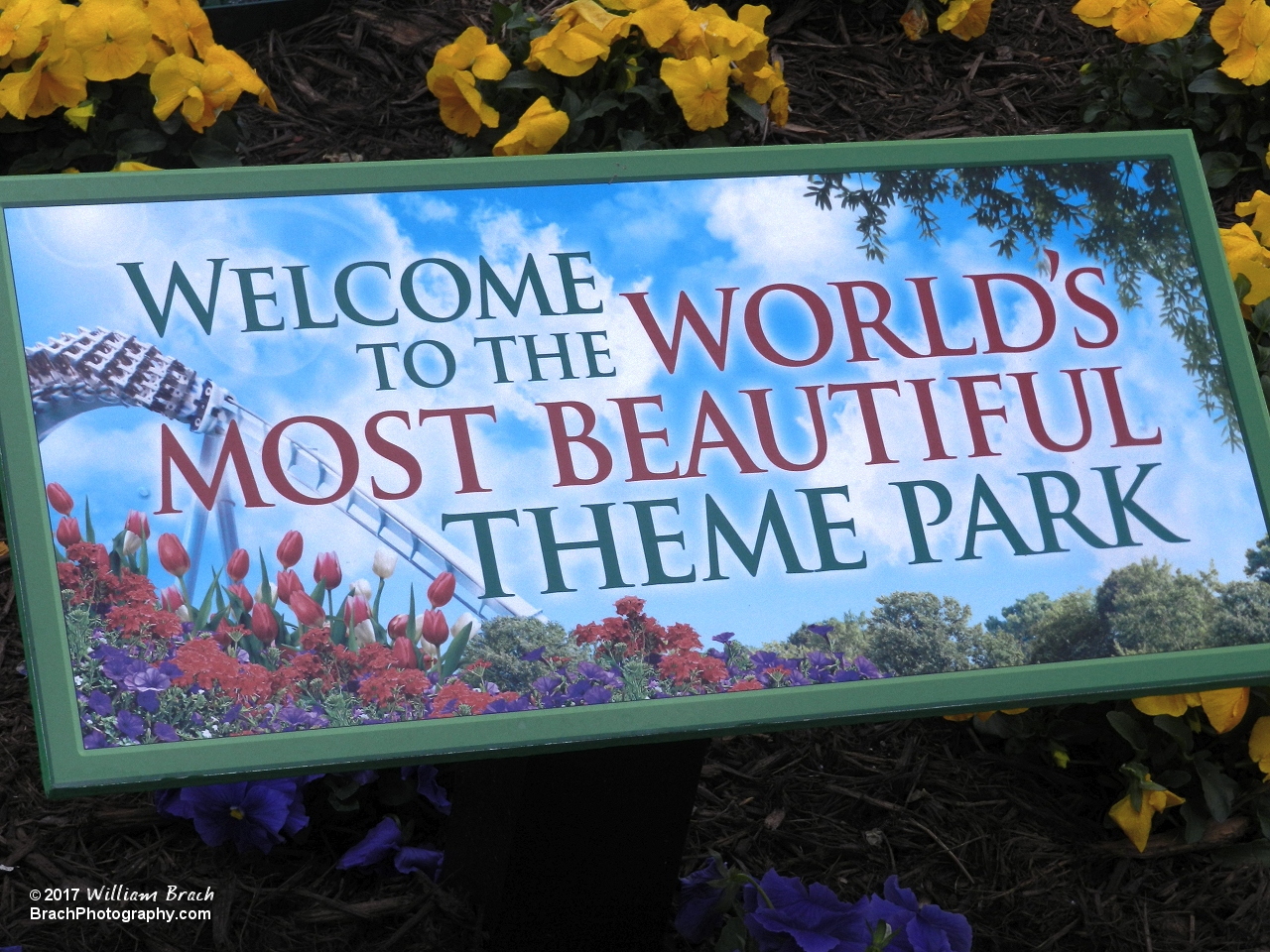 Busch Gardens most certainly is a very beautiful park to visit.