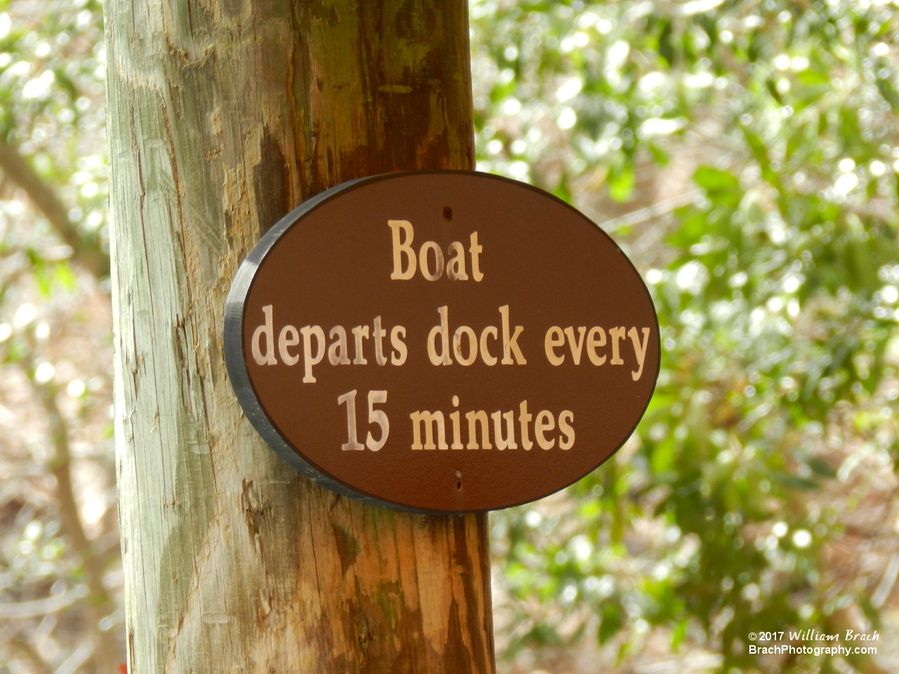 Boats leave every fifteen minutes from the dock.