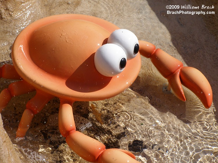 Sesame Street styled Crab character.