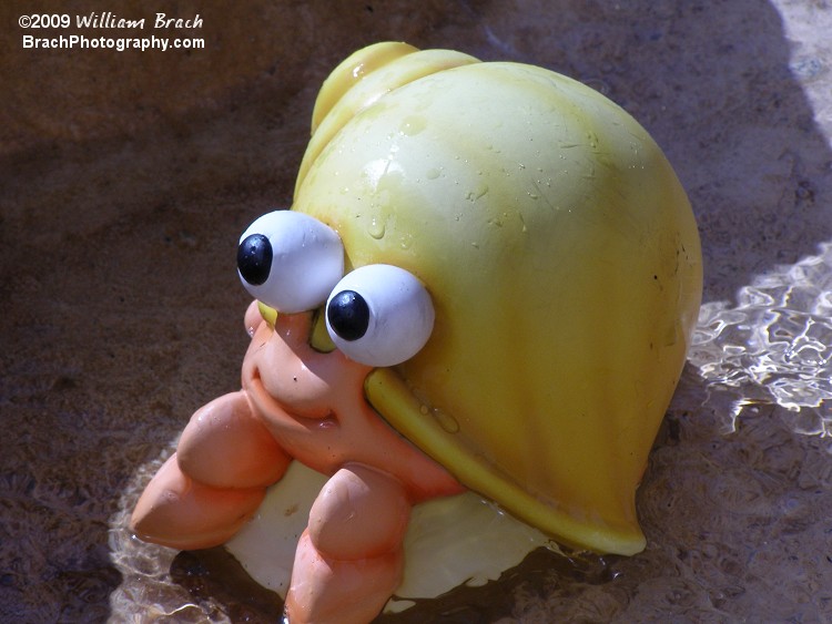 Sesame Street styled Hermit Crab character.