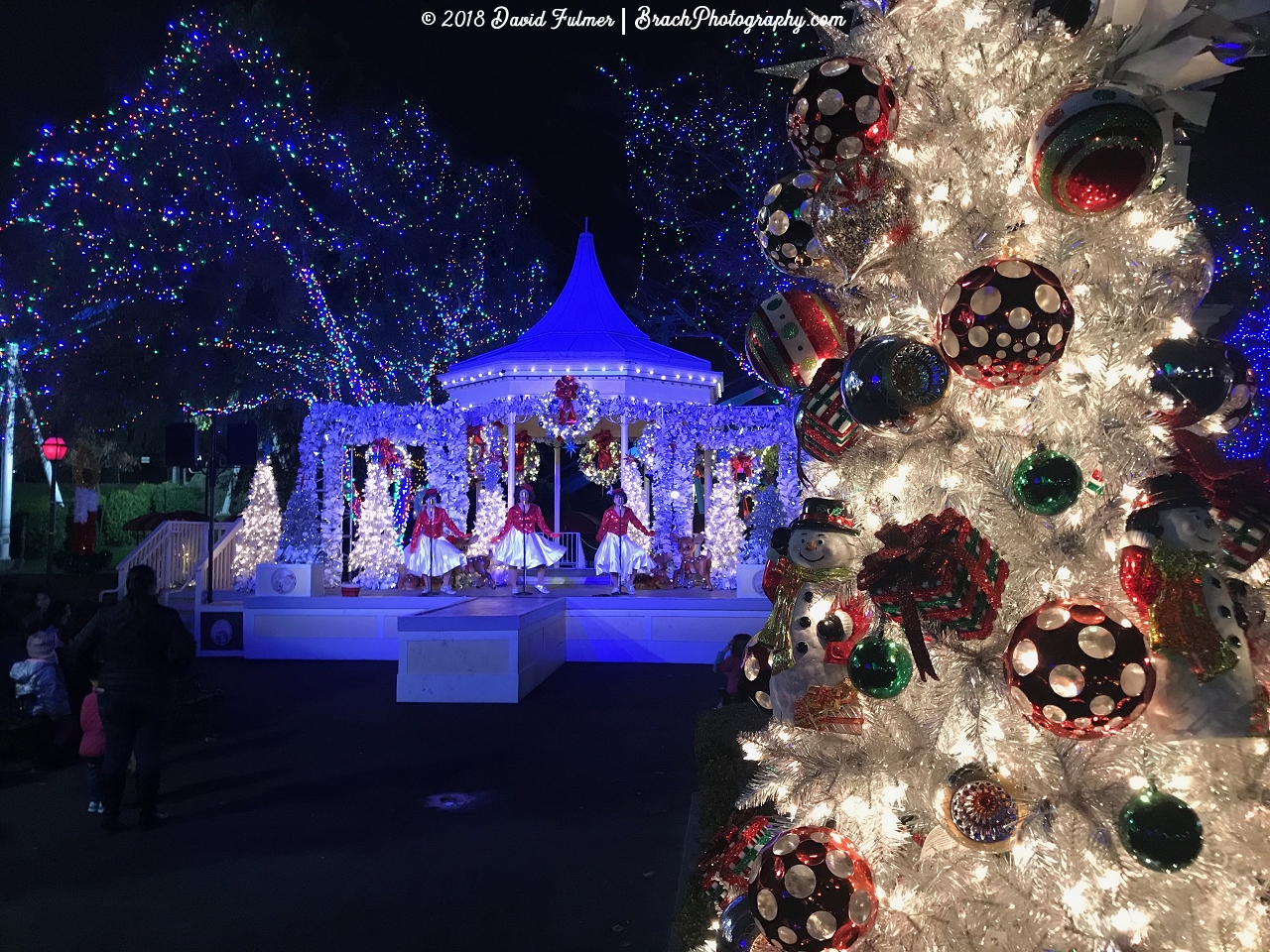 Decorations at WinterFest.