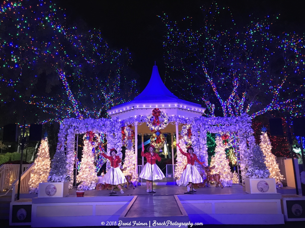 The Mistletones performing during WinterFest.