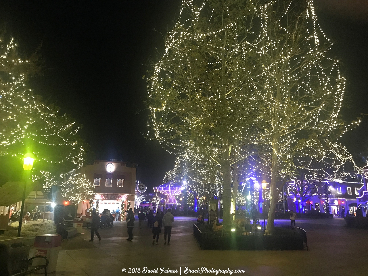 Lights decorating the trees in the Hometown Square area during WinterFest.