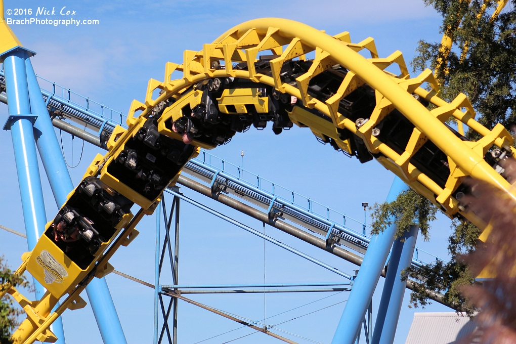 One of the two corkscrews.