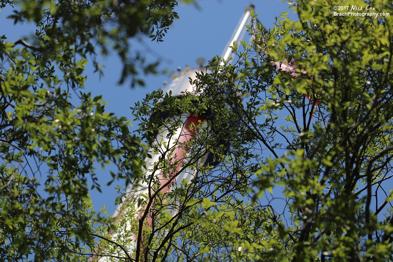 The park's iconic skytower.