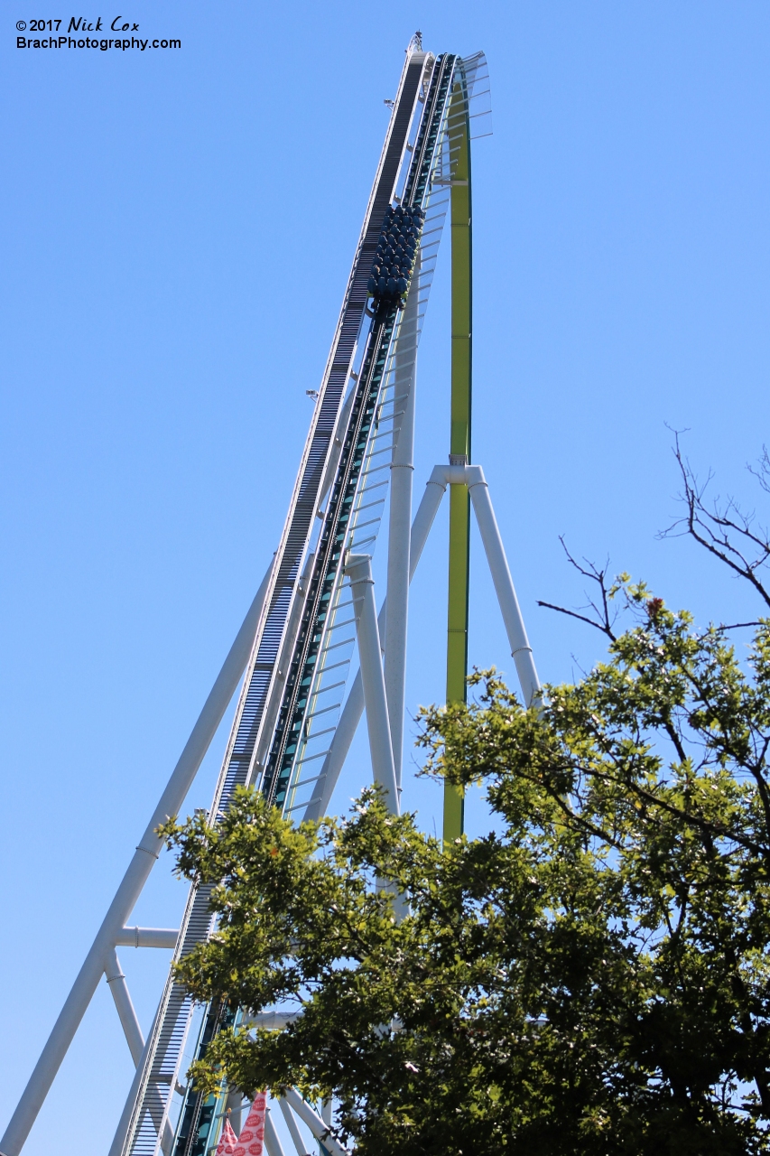 The 325 foot hornet.