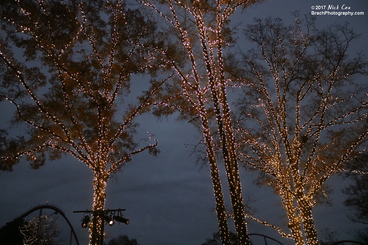 Decorations around WinterFest.