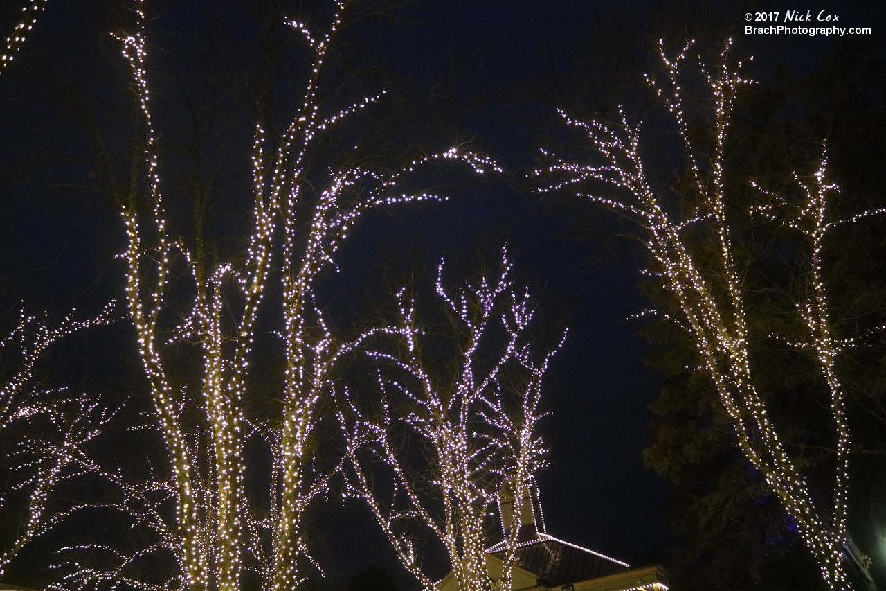 Decorations around WinterFest.