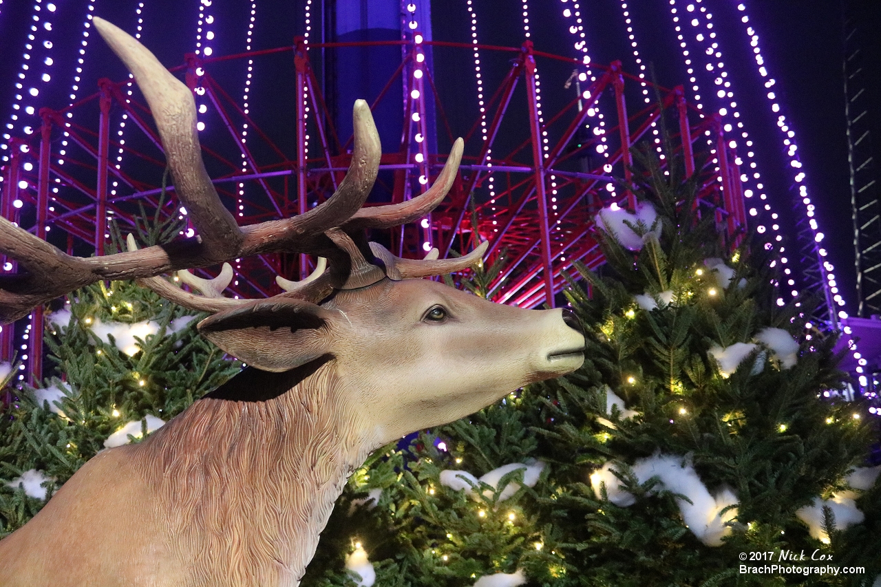 Decorations around WinterFest.