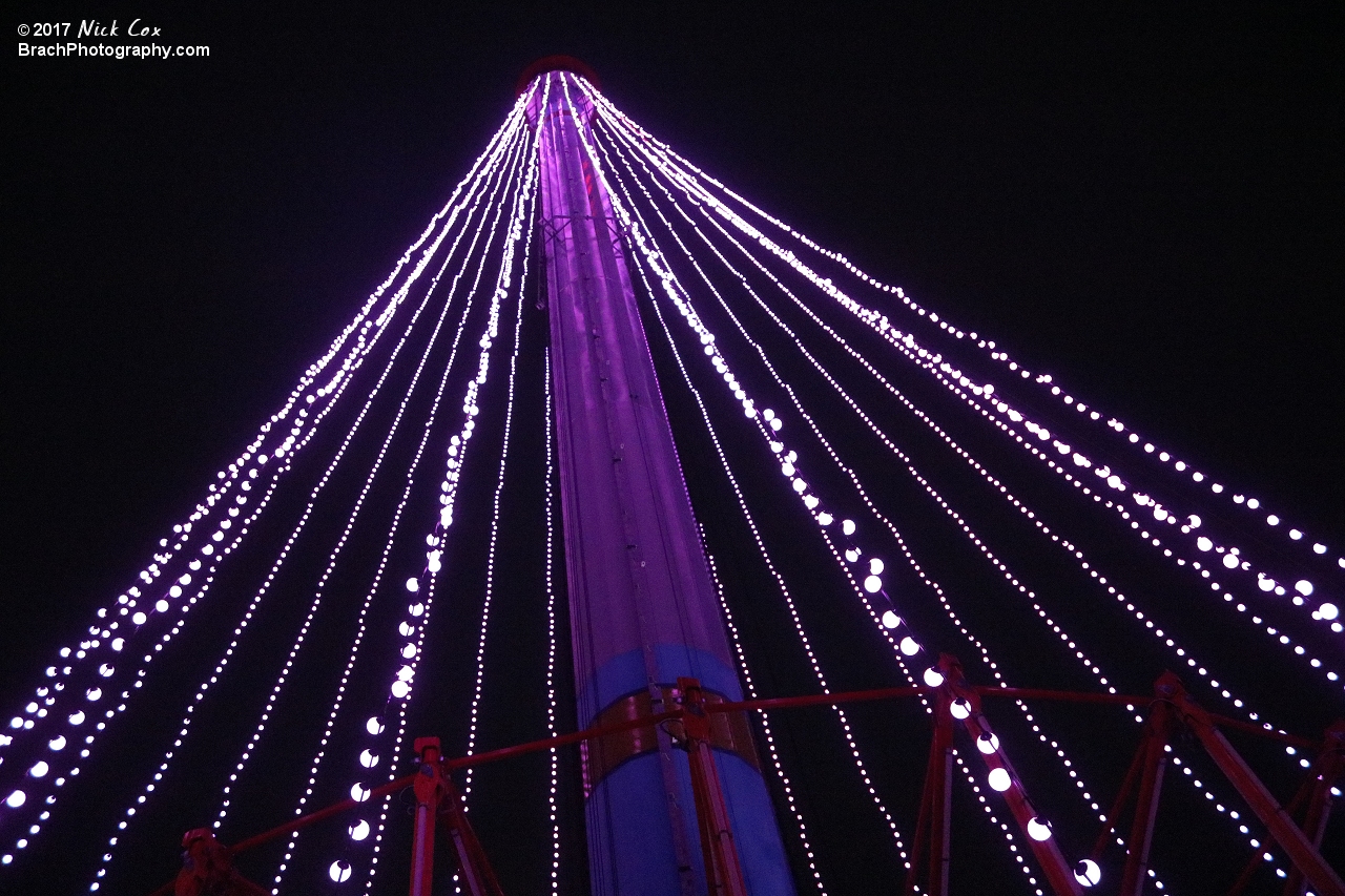 Decorations around WinterFest.