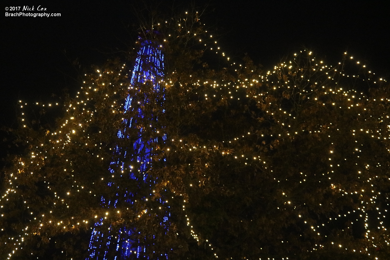 Decorations around WinterFest.