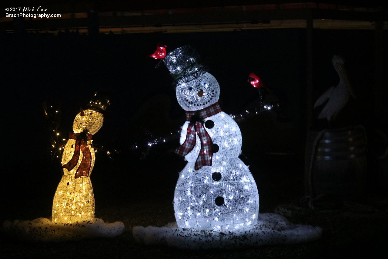 Decorations around WinterFest.