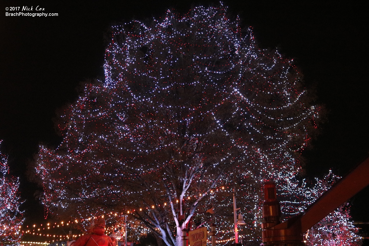 Decorations around WinterFest.