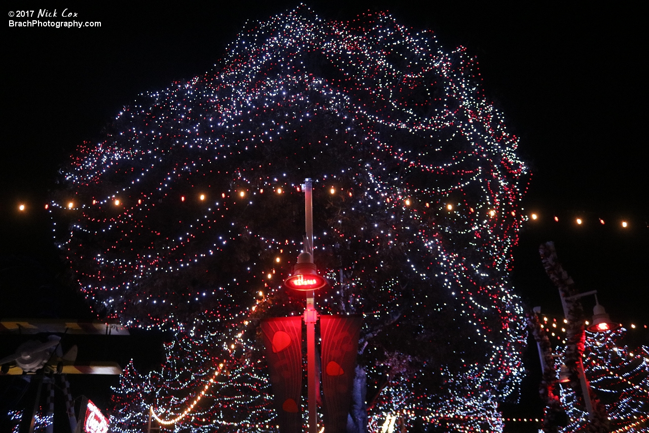 Decorations around WinterFest.