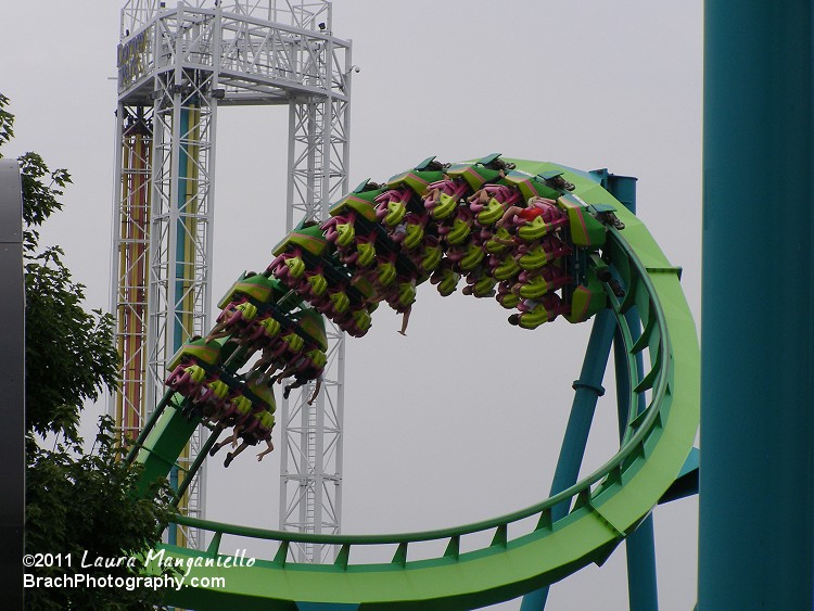 Hydra train inside the cobra roll.