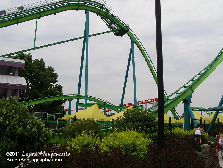 Hydra: The Revenge is only 95ft tall, but the first drop is 100ft.