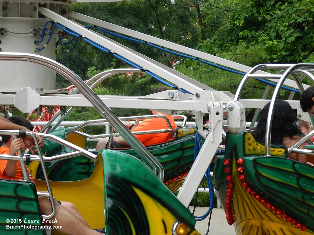 Will is in a green boat on Flying Falcon.