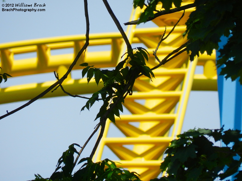 Skyrush through the trees.