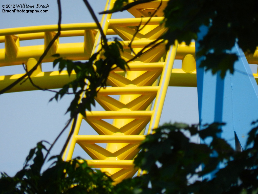 Through the trees, you can see Skyrush!