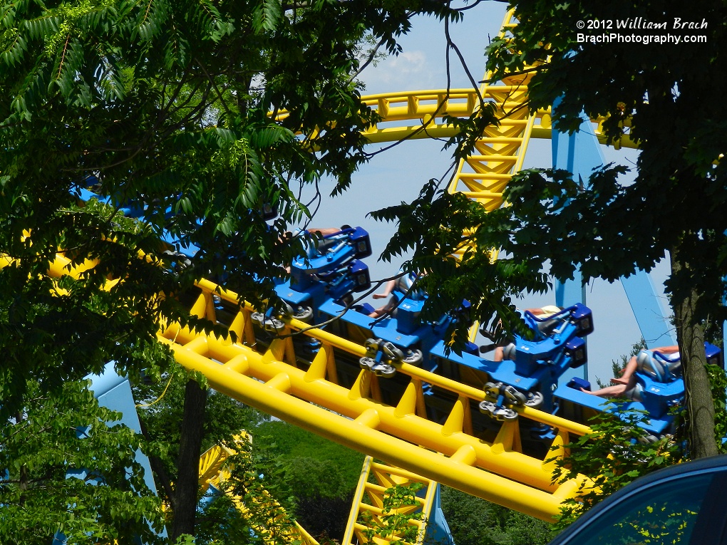 Through the trees, you can see the Skyrush train running the course.