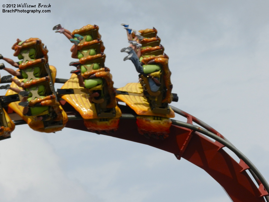 Chinese Fireball running the course.