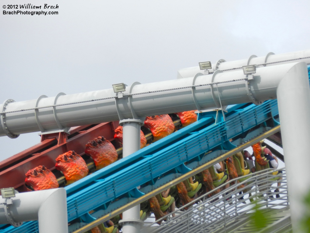 Dragon Challenge lift hills with Chinese Fireball train going up.