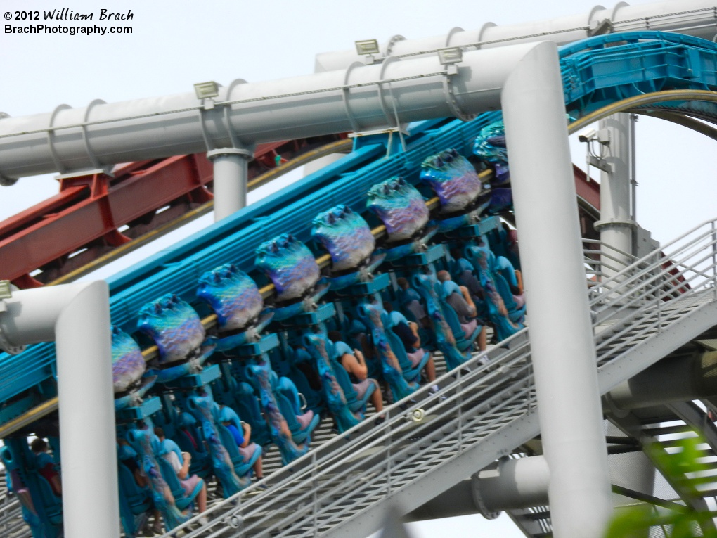 Hungarian Horntail train climbing the lift hill.