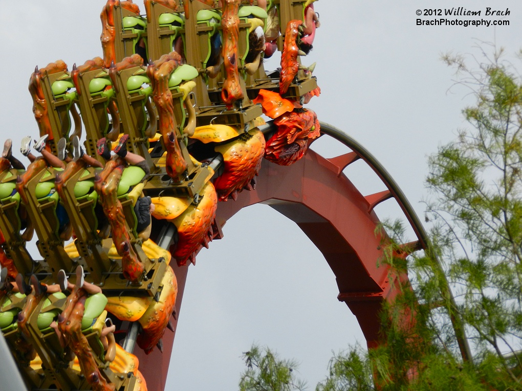 Train running through the vertical loop.