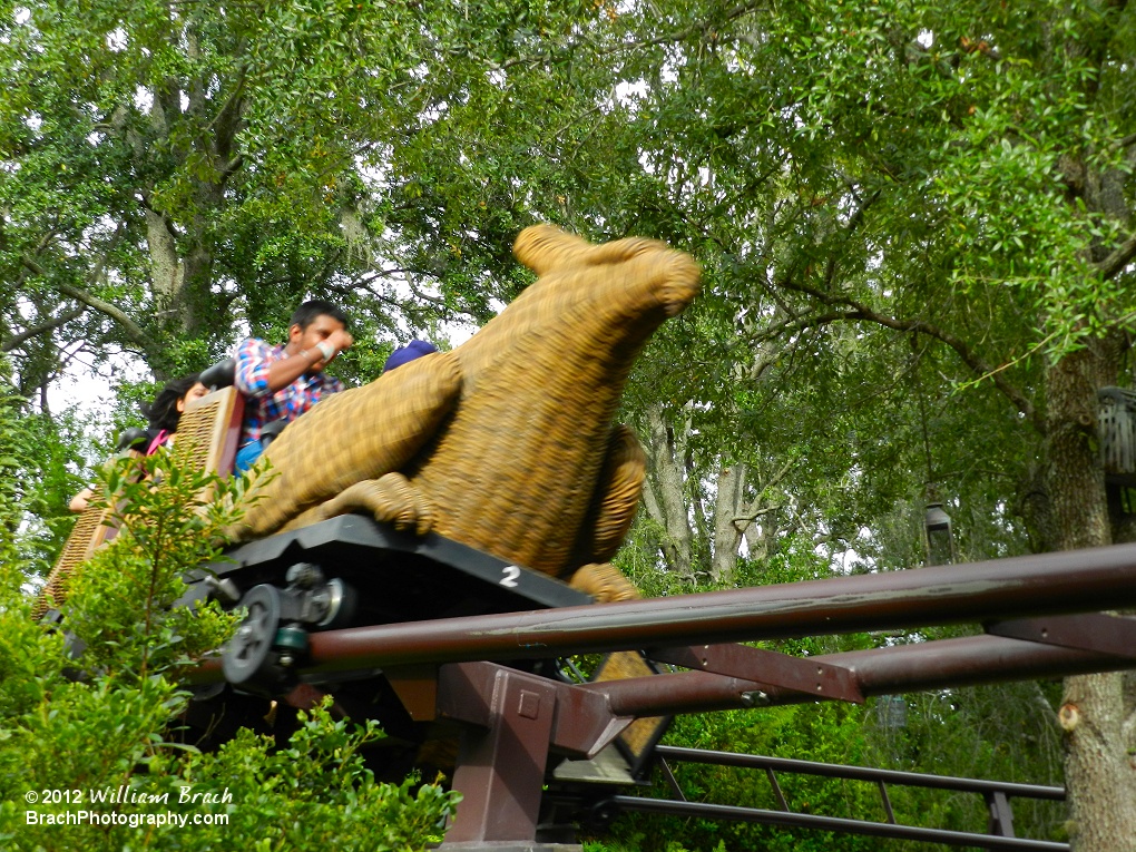 Flight of the Hippogriff train running the course.