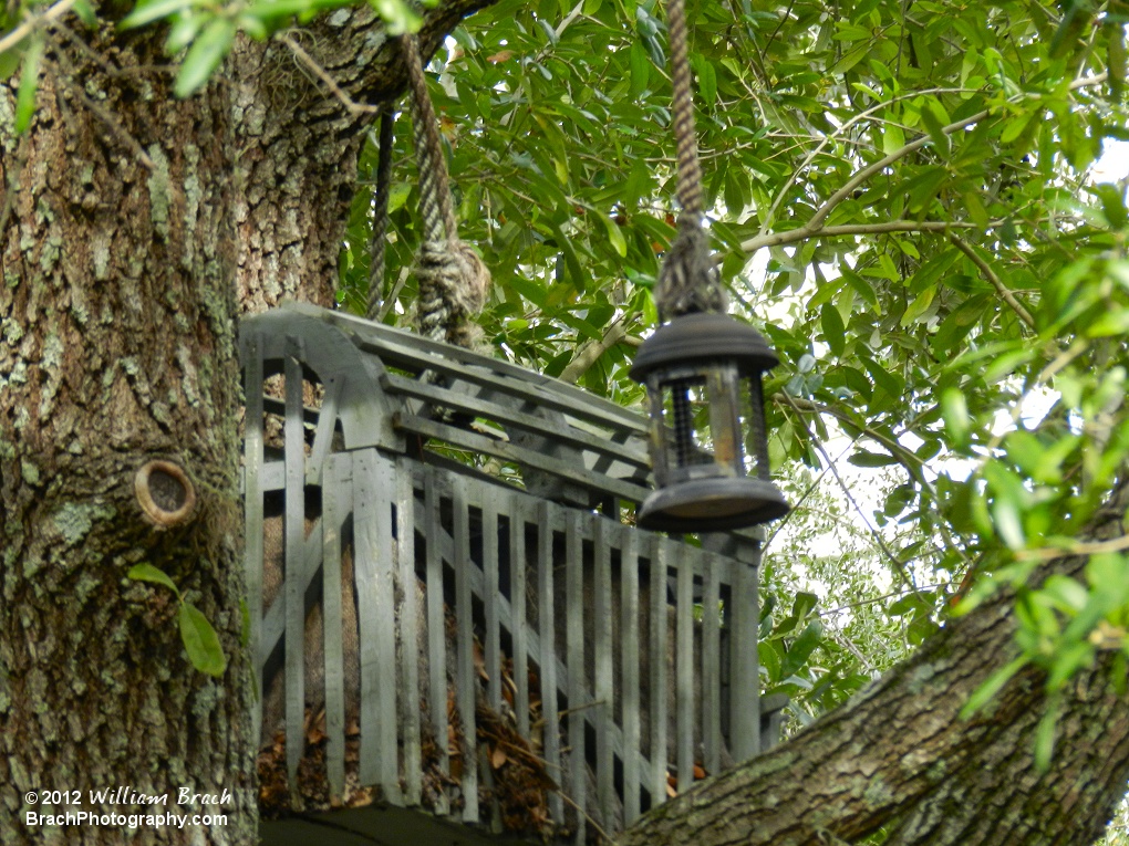 More theming seen from the queue of Flight of the Hippogriff.