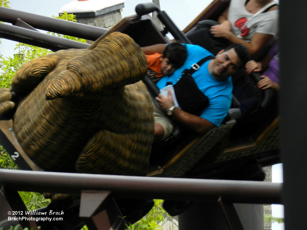 Flight of the Hippogriff is a coaster meant for everyone, it's not too tall, and doesn't go too fast so that everyone can enjoy a ride on it.