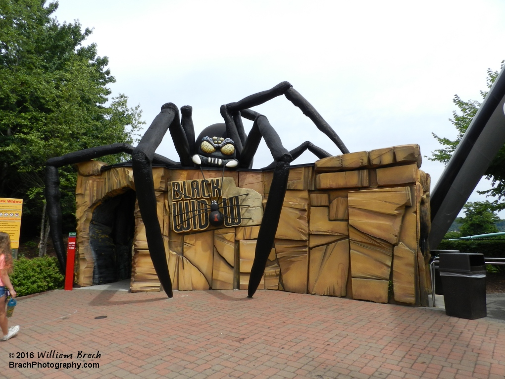 Entrance cave to Black Widow.