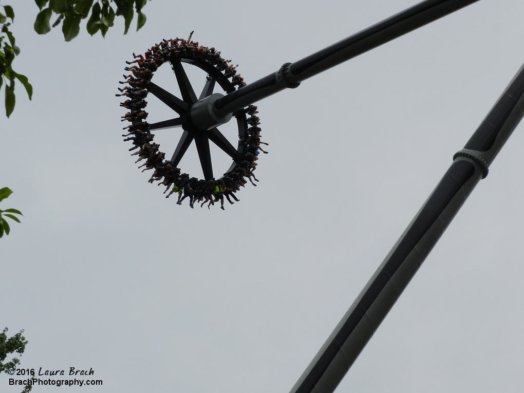 Lots of airtime on Black Widow.