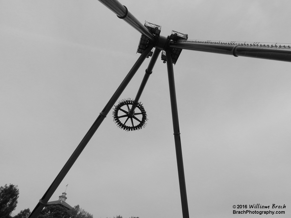 This photo of Black Widow finished in First Place at the 2016 Montgomery County Agricultrual Fair Photography Contest in the Activites other than Sports category.