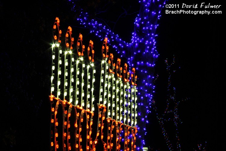 Hanukkah lights.,