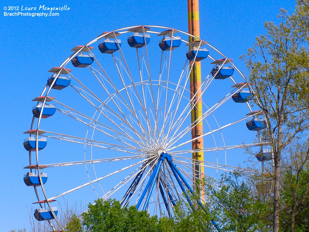 Looking at Americana on Opening Day 2012.