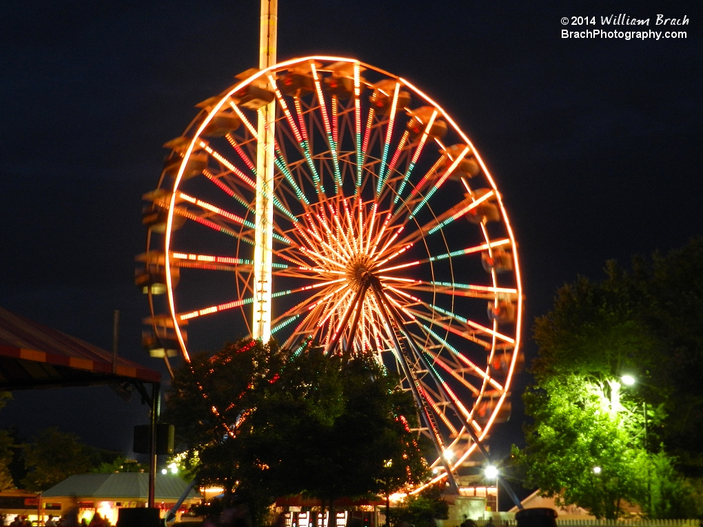 Americana looks nice at night!