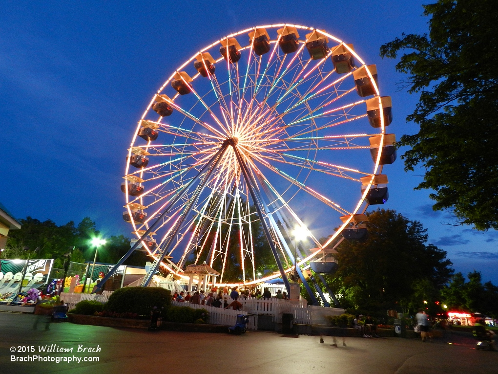 Americana really looks good at night.