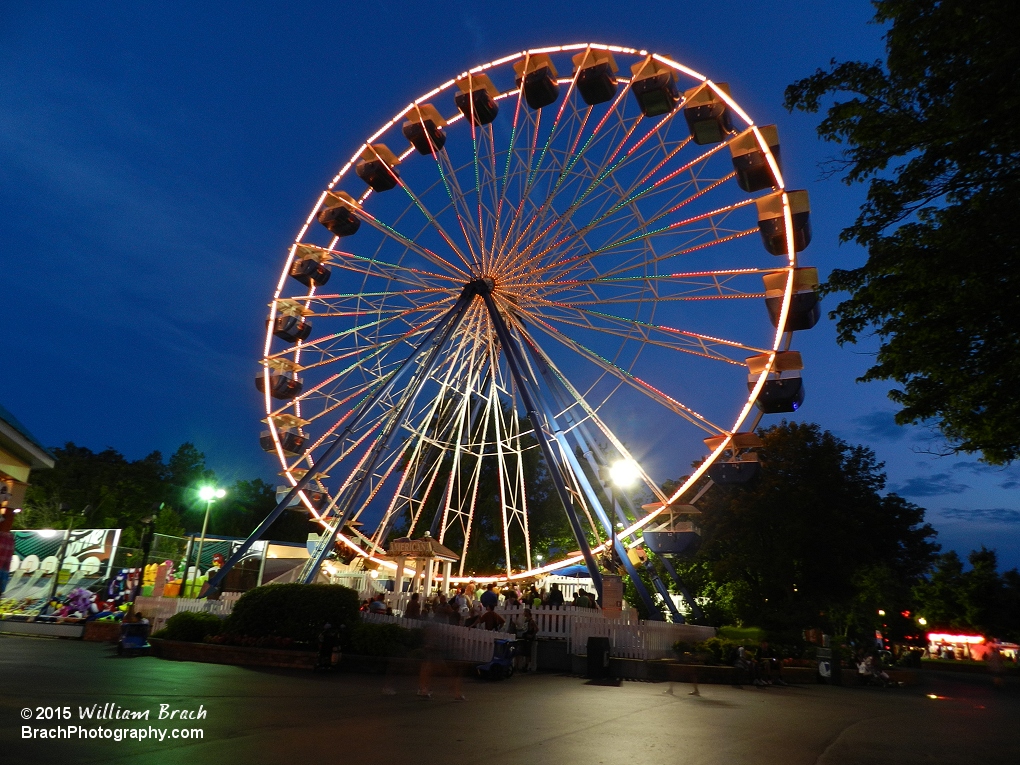 Americana stands out nicely at night.